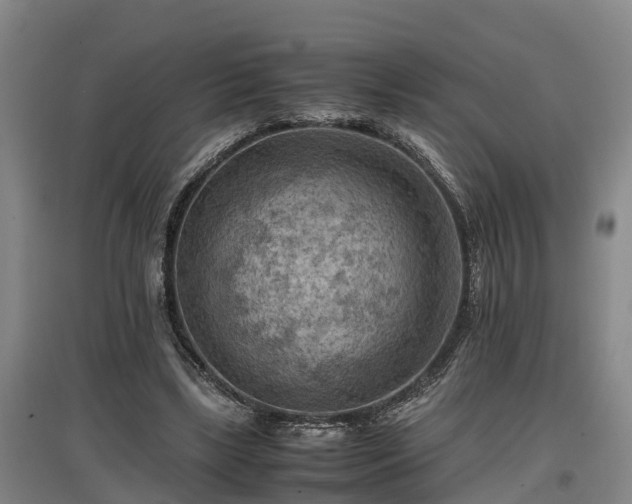 X0000097460443200802291240