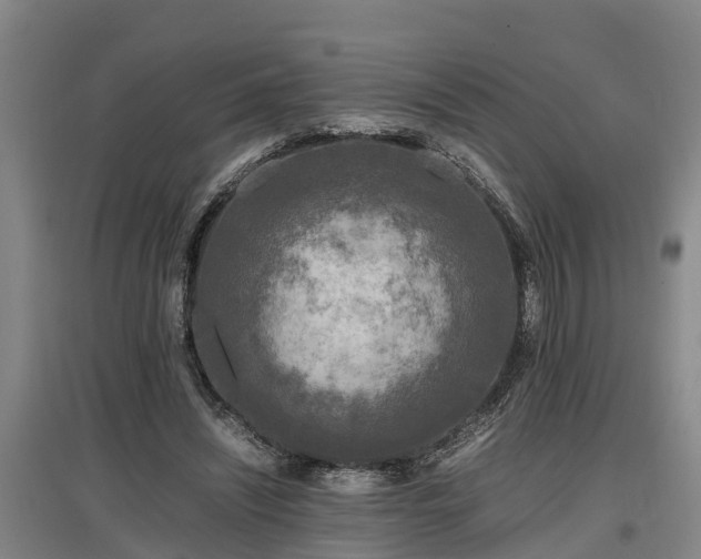 X0000097460444200802291240