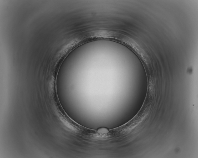 X0000097460445200802291240