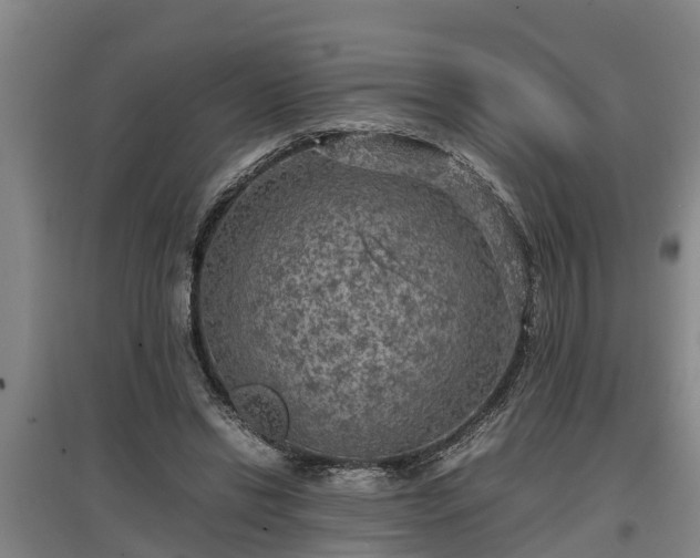 X0000097460446200802291240