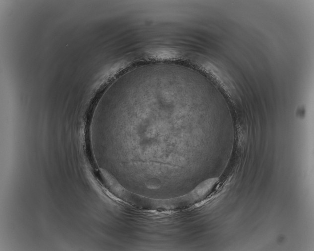 X0000097460447200802291240