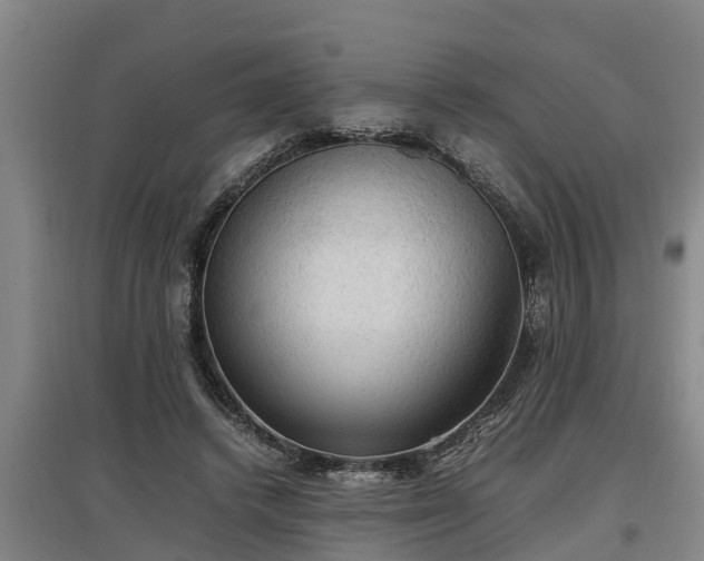 X0000097460448200802291240