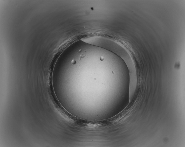 X0000097460450200802291240