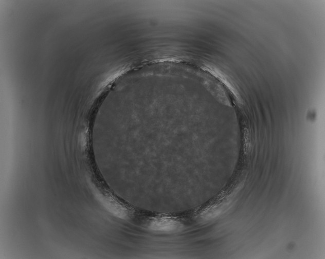 X0000097460451200802291240