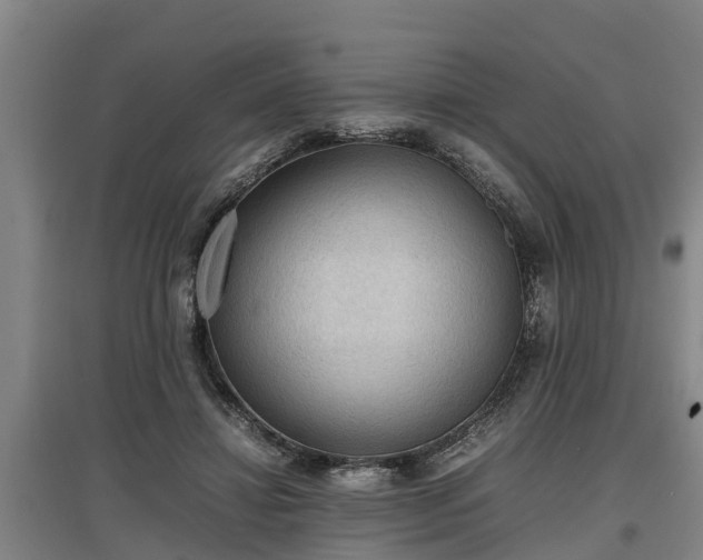 X0000097460452200802291240