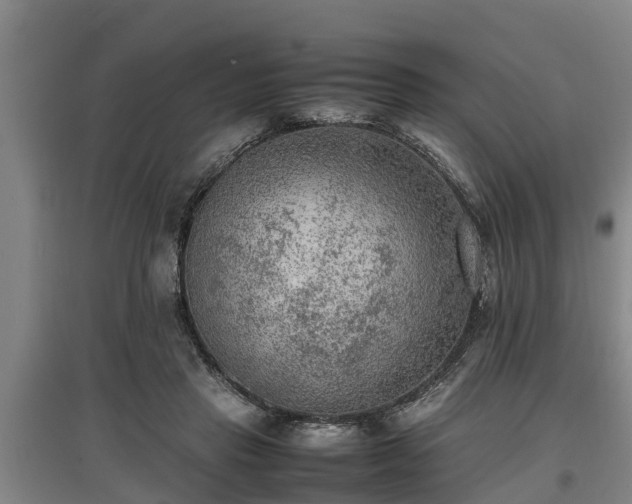 X0000097460453200802291240