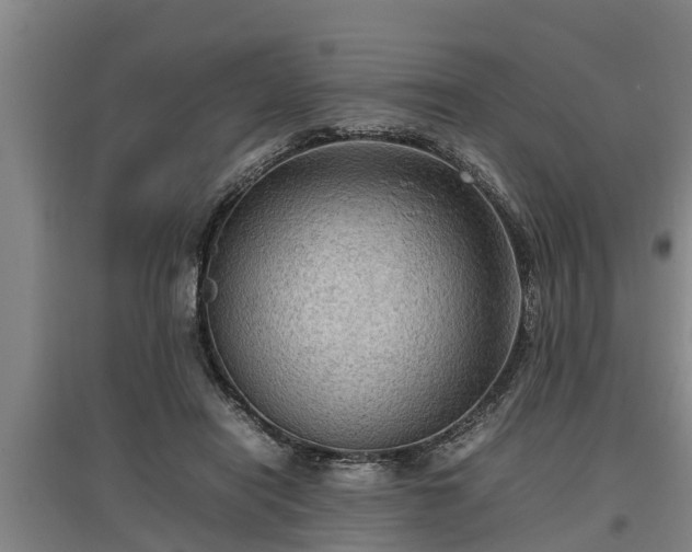 X0000097460454200802291240