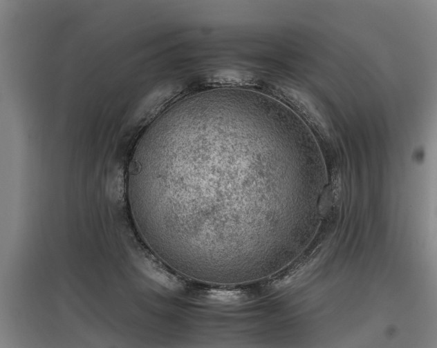 X0000097460457200802291240