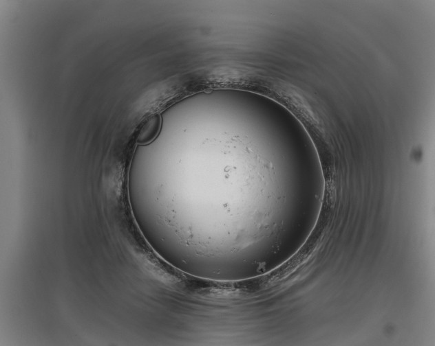 X0000097460458200802291240