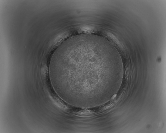 X0000097460459200802291240