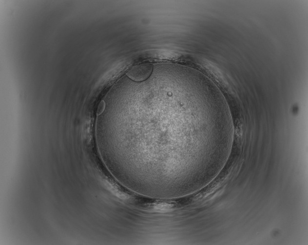 X0000097460462200802291240