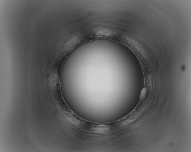 X0000097460463200802291240