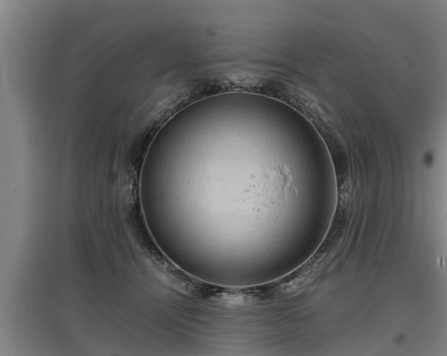 X0000097460464200802291240