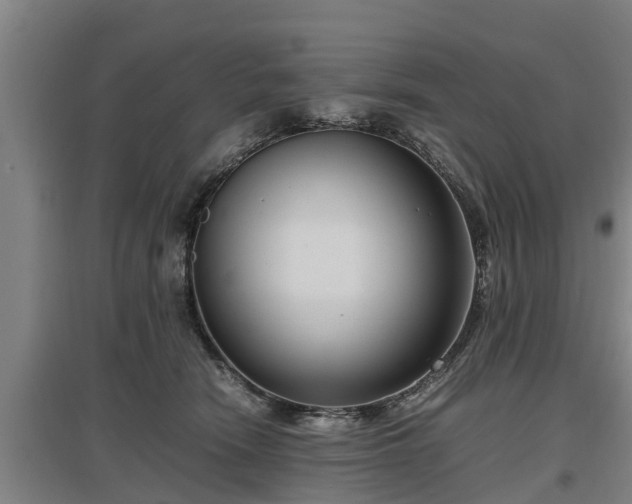 X0000097460466200802291240