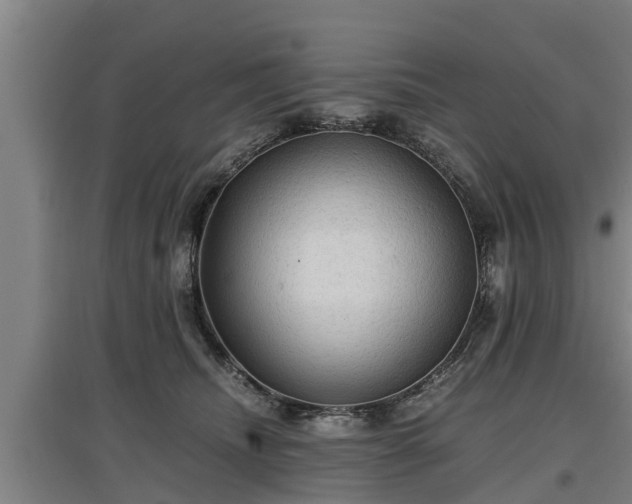 X0000097460468200802291240