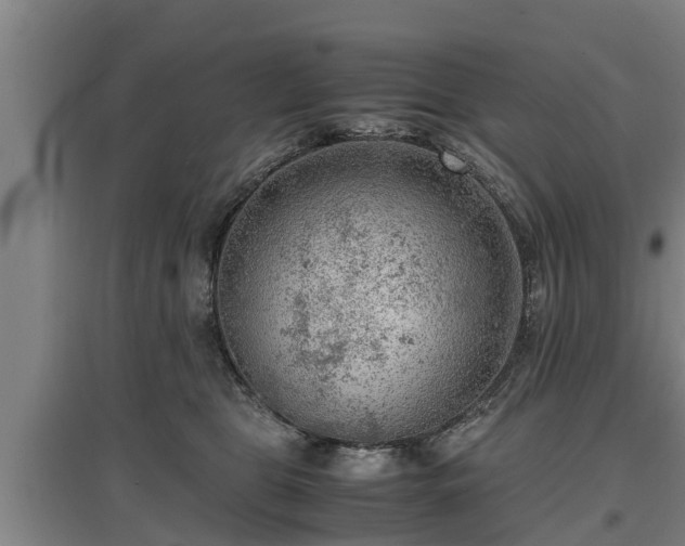 X0000097460469200802291240