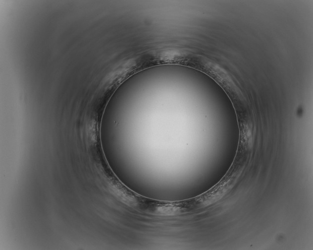 X0000097460470200802291240