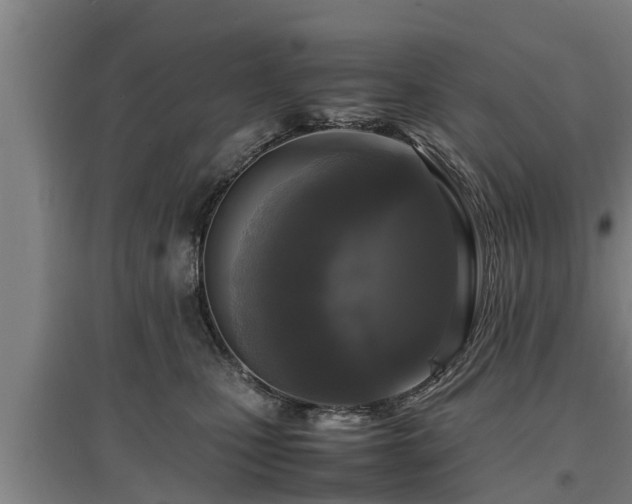 X0000097460471200802291240