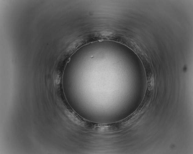 X0000097460472200802291240