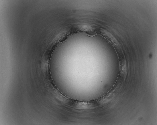 X0000097460473200802291240