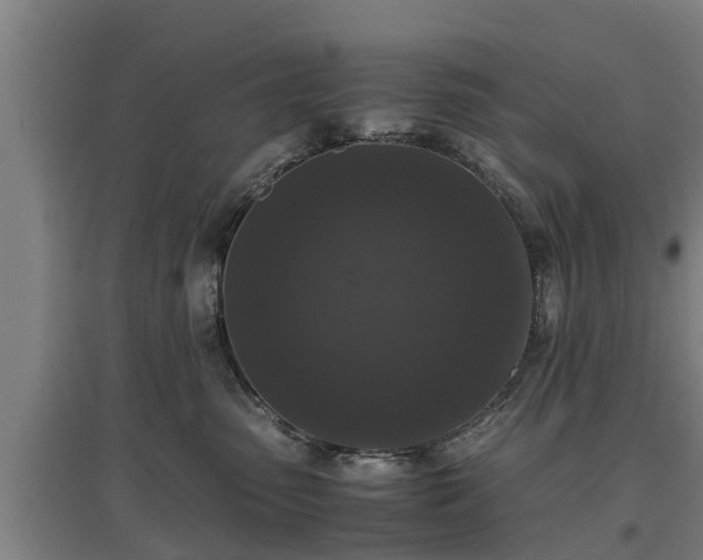 X0000097460475200802291240