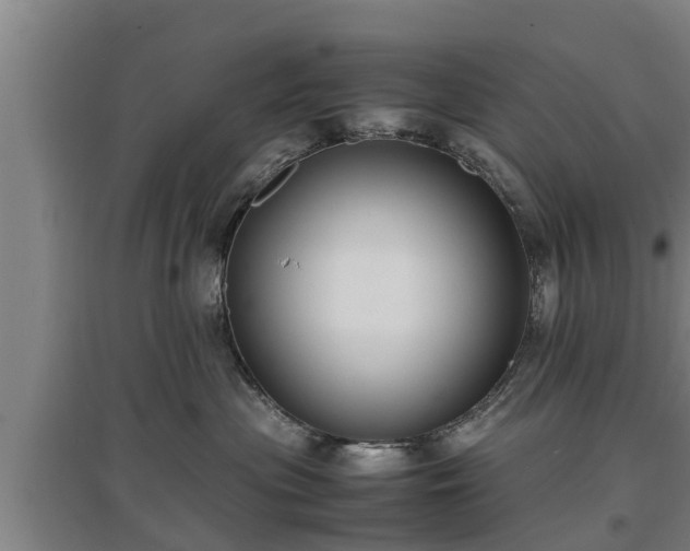 X0000097460477200802291240