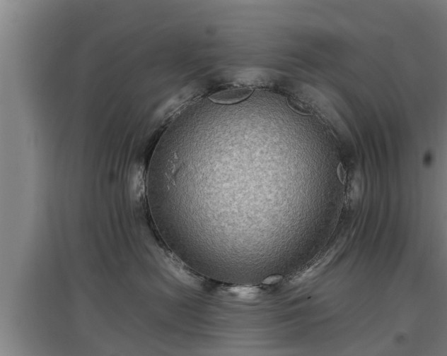 X0000097460478200802291240