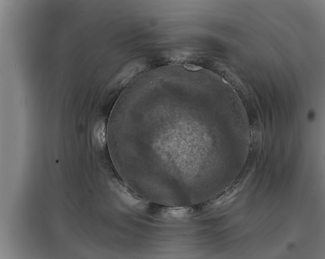 X0000097460479200802291240