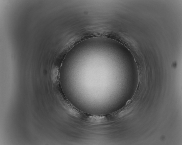 X0000097460480200802291240