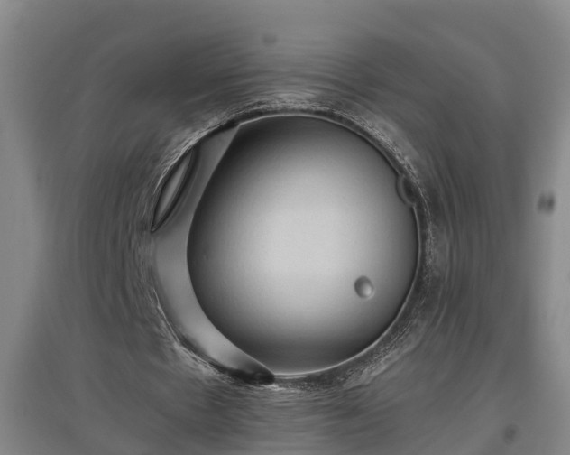 X0000097460481200802291240