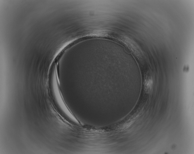 X0000097460484200802291240