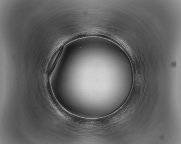 X0000097460485200802291240