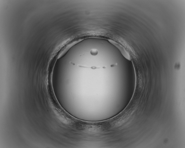 X0000097460486200802291240