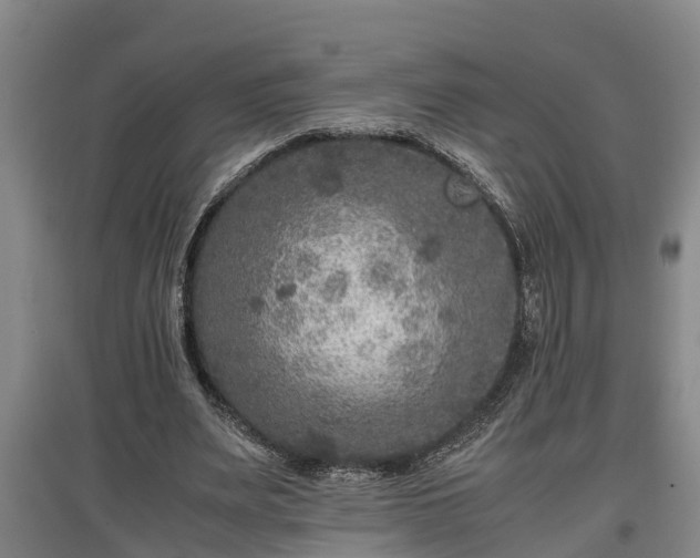 X0000097460487200802291240