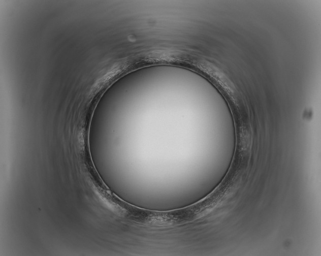 X0000097460489200802291240