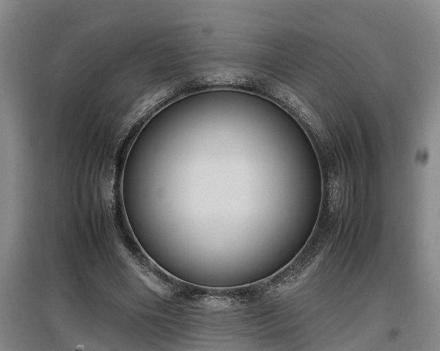 X0000097460490200802291240