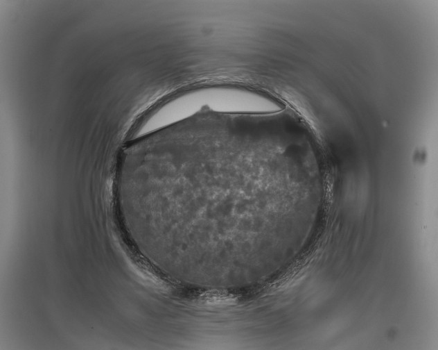 X0000097460491200802291240