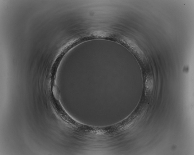 X0000097460492200802291239