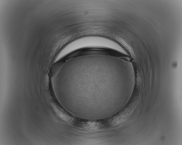 X0000097460493200802291239