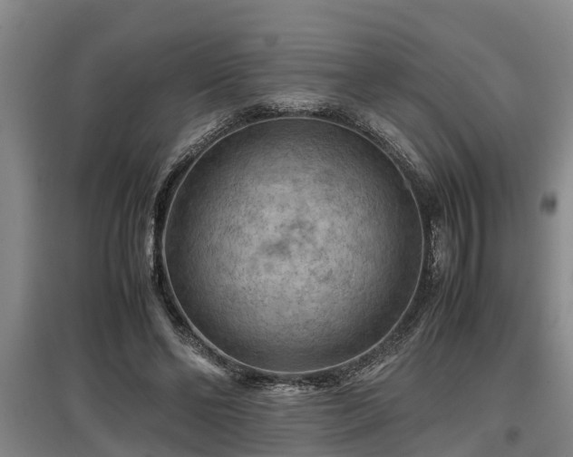 X0000097460494200802291239