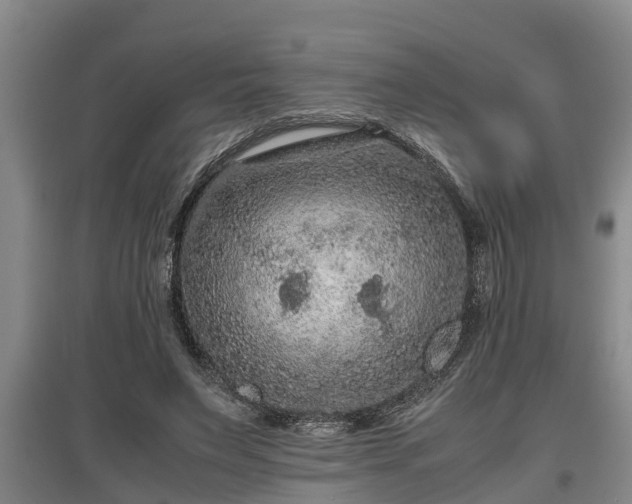 X0000097460495200802291239