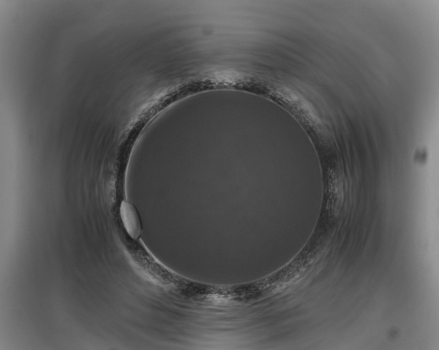 X0000097460496200802291239