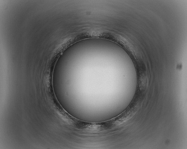 X0000097460497200802291239