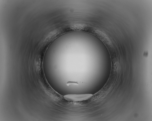 X0000097460498200802291239