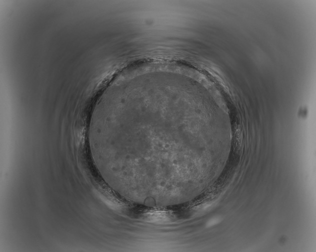 X0000097460499200802291239