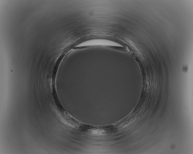 X0000097460500200802291239