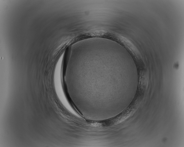 X0000097460501200802291239