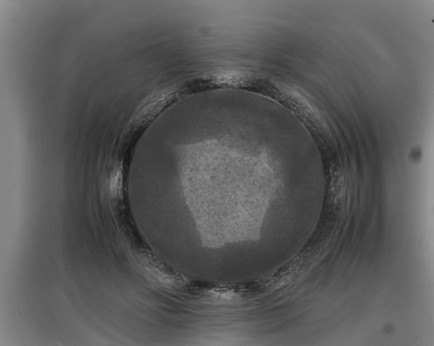 X0000097460502200802291239