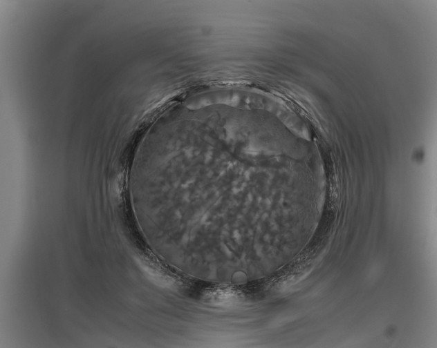 X0000097460503200802291239