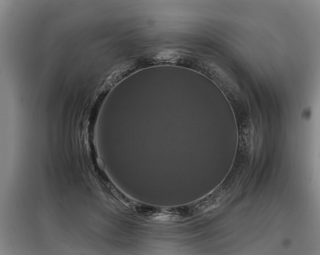 X0000097460504200802291239